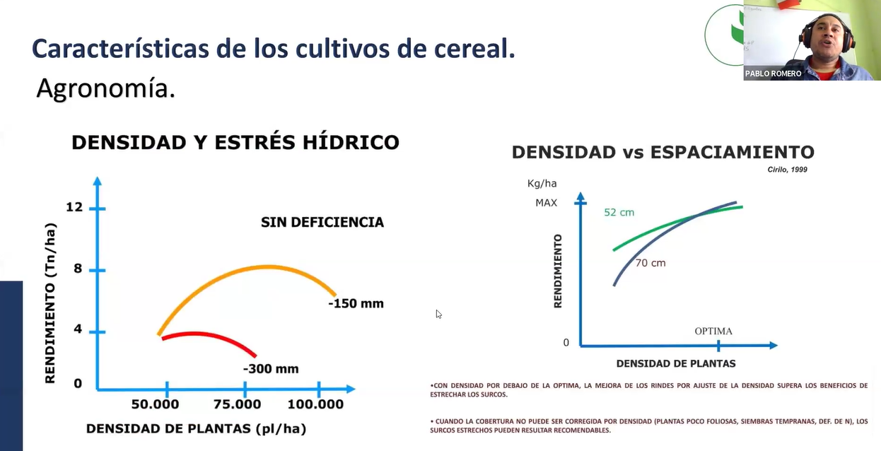 CULTIVOS OLEAGINOSOS HERBÁCEOS, CULTIVOS INDUSTRIALES, RAÍCES Y TUBÉRCULOS 
